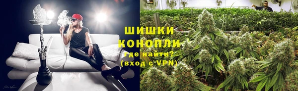 шишки Елабуга