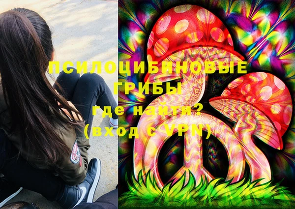 шишки Елабуга